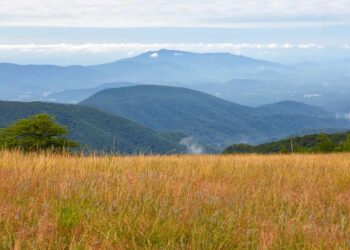 Amherst Has Some of the Best Fall Foliage in Virginia