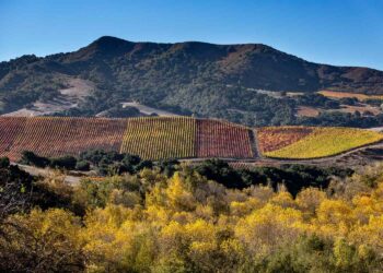 Buellton Is One of the Most Underrated Small Towns in California