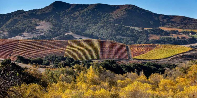 Buellton Is One of the Most Underrated Small Towns in California