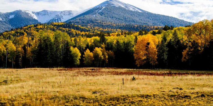10 Places in the U.S. Where Fall Foliage Is Still Peaking Into November