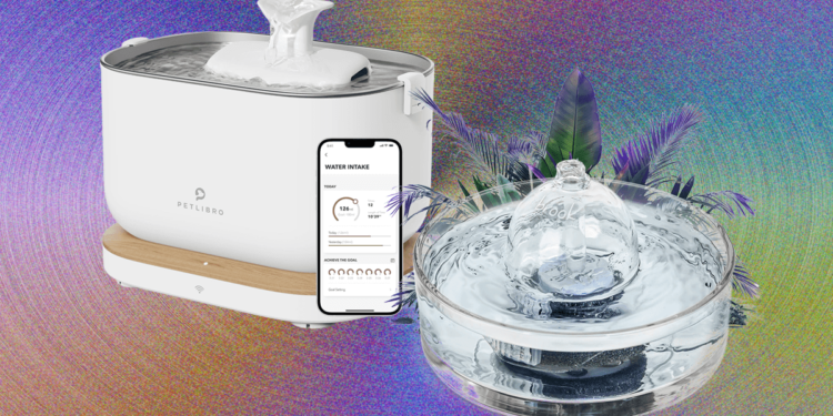 9 Best Cat Water Fountains, WIRED Tested and Reviewed (2025)