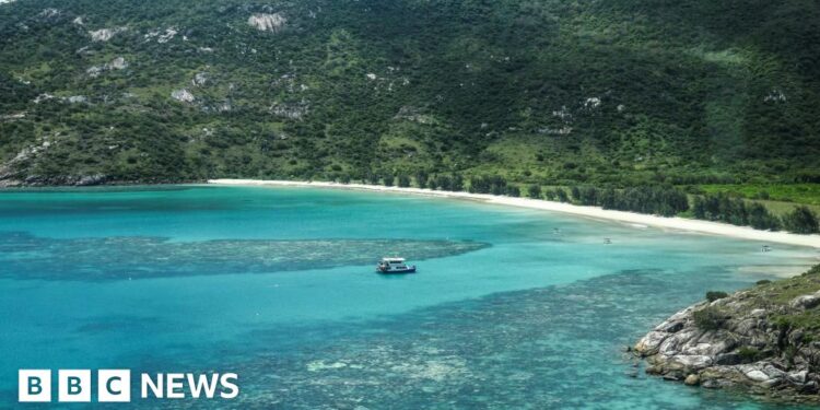 Woman left behind by cruise ship on Australian island found dead