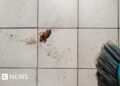 Woman trying to kill cockroach burns down apartment