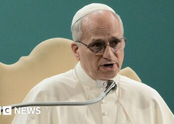 Pope Leo hits out at critics of global warming