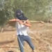 Palestinian woman attacked by Israeli settler while harvesting olives | Occupied West Bank
