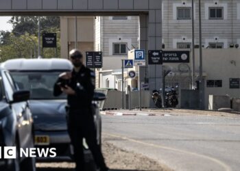 UN panel says Israel operating ‘de facto policy of torture’