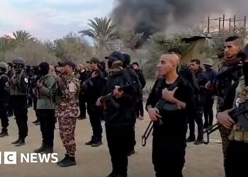 Anti-Hamas armed groups seek future role under Gaza peace plan