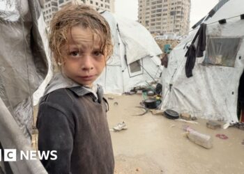 Shelters plea for Gazans as winter rains raise fears of more disease and death