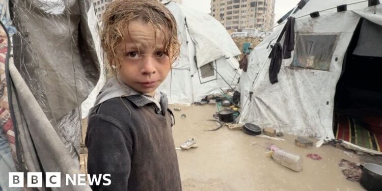 Shelters plea for Gazans as winter rains raise fears of more disease and death