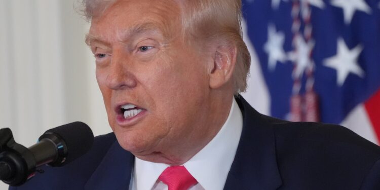 Trump asks Justice Department to investigate Bill Clinton over Epstein ties | Donald Trump News