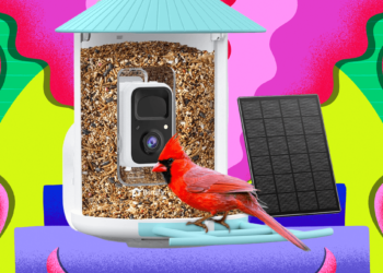 Amazon Is Having a Huge Black Friday Sale on Birdfy Smart Bird Feeders (2025)