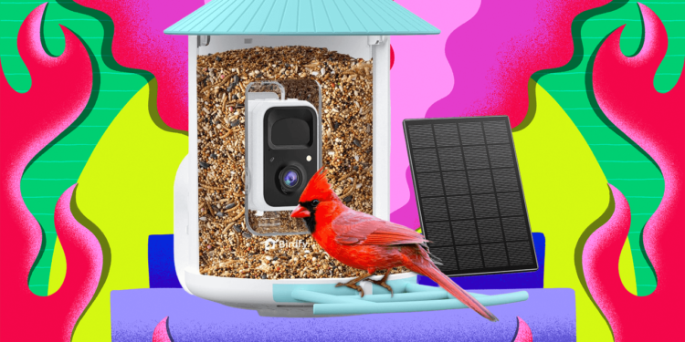 Amazon Is Having a Huge Black Friday Sale on Birdfy Smart Bird Feeders (2025)