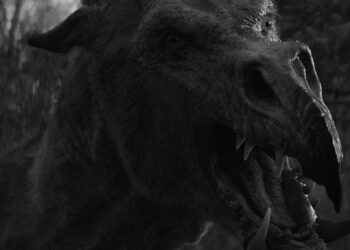 Roy Lee, Steven Schneider Board Short Em & Selma Go Griffin Hunting