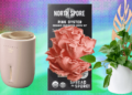 The 17 Best Gifts for Plant Lovers We’d Buy Ourselves (2025)