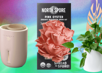 The 17 Best Gifts for Plant Lovers We’d Buy Ourselves (2025)