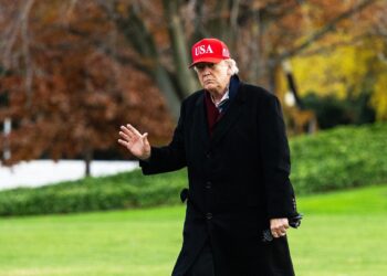 Trump Is Boosting MAGA X Accounts Operating Overseas