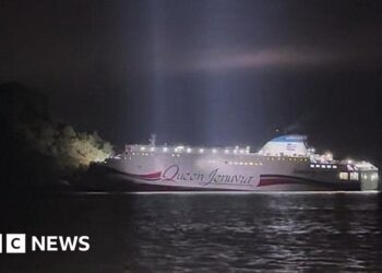 All 246 passengers rescued after South Korean ferry runs aground