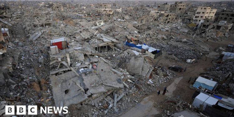 Trump’s plan for Gaza backed by UN Security Council