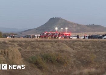 Turkish military cargo plane crashes with at least 20 on board near Georgia and Azerbaijan border