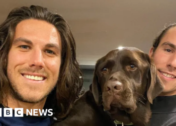 Woman jailed for 20 years over murder of Australian surfer brothers in Mexico