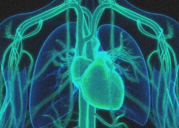 A Gene Editing Therapy Cut Cholesterol Levels by Half