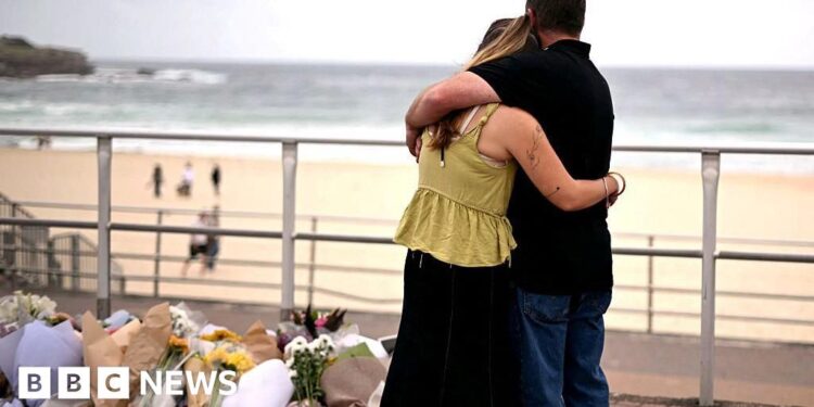 Bondi shooting suspect Naveed Akram charged with 15 counts of murder