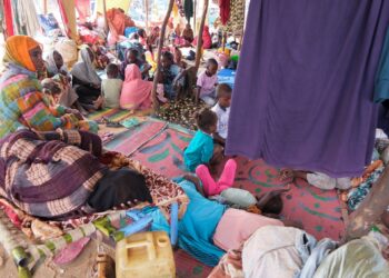 I volunteered at camp for the displaced from el-Fasher. Here is what I saw | Opinions