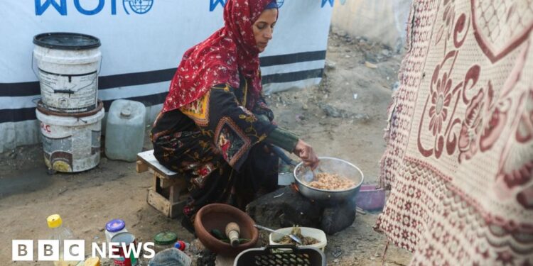 NGOs fear Israel registration rules risk collapse of Gaza aid operations