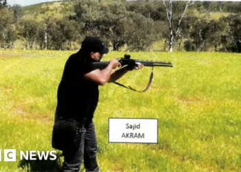 Alleged Bondi gunmen threw ‘tennis ball bomb’, new documents say