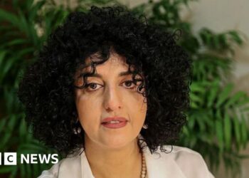 Nobel laureate Narges Mohammadi arrested in Iran, supporters say