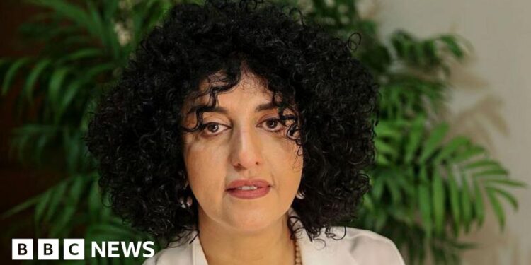 Nobel laureate Narges Mohammadi arrested in Iran, supporters say