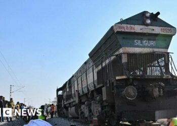 India express train kills seven elephants crossing tracks