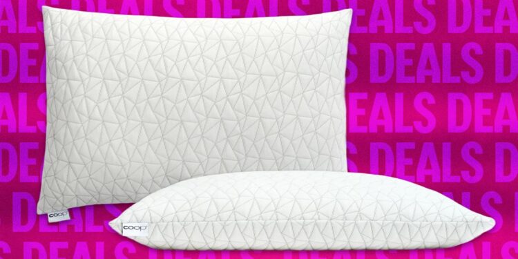 Get 22 Percent Off One of Our (and Taylor Swift’s) Favorite Pillows