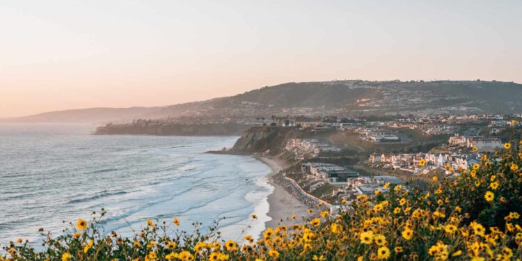 The Essential Guide to Dana Point, California