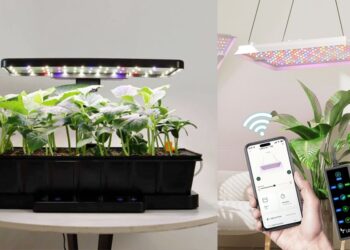 The Best Plant and Gardening Gifts From LetPot (2025)