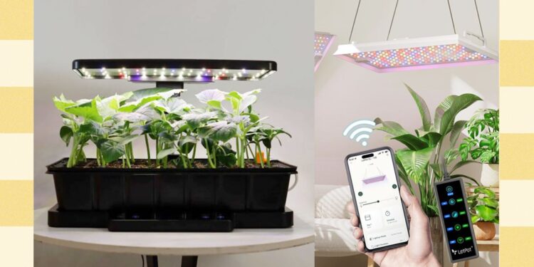 The Best Plant and Gardening Gifts From LetPot (2025)