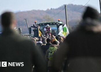 Farmers call for French blockades over cow disease cull
