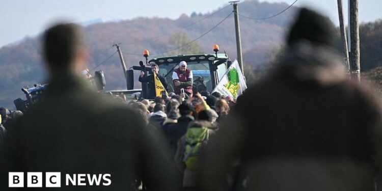 Farmers call for French blockades over cow disease cull
