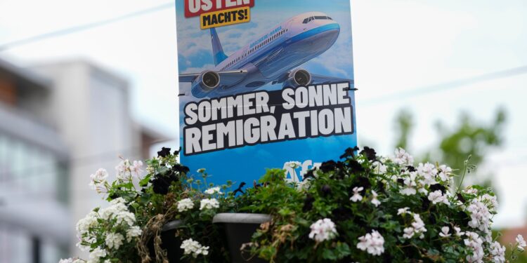 What is remigration, the far-right fringe idea going mainstream? | Migration News