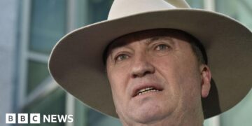 Former Australian deputy PM joins anti-immigration party One Nation