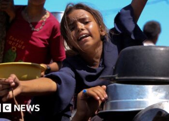 UN-backed experts say Gaza food supplies improving but 100,000 still in ‘catastrophic conditions’