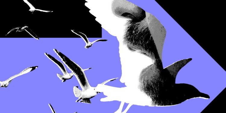 The Most Powerful Politics Influencers Barely Post About Politics