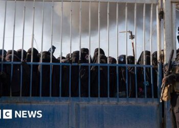 UN to take over al-Hol camp for IS families in Syria after unrest