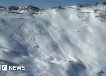 Five die in Austrian avalanches, rescuers say