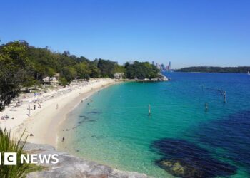 Boy fighting for life after being mauled by shark