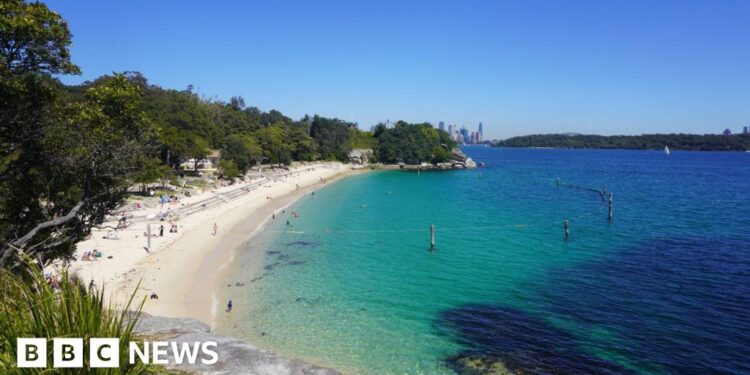 Boy fighting for life after being mauled by shark