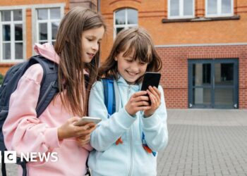 French MPs take first step towards banning social media for under-15s