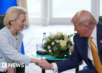 EU suspends approval of US trade deal