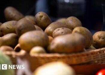 Chips, anyone? German farm gives away millions of potatoes after bumper harvest