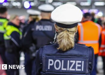 Germany arrests suspected Hamas member over alleged attack plot